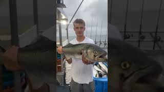 Bluefish on the Black Hawk