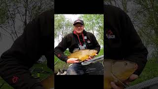 TENCH PB ON THE POLE. Suffolk water park match lake 2, #shorts #JamesAtkinsFishing #fjukabait