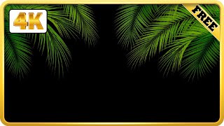 Tropical palm leaves branch black screen video loops