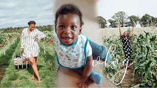 #BlackJoy Frolicking in Strawberry Fields | Weekly Vlog