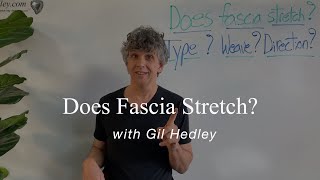 Does Fascia Stretch?: Learn Integral Anatomy with Gil Hedley