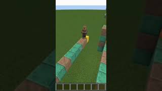 Villager IQ Test#minecraft