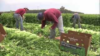 United Farm Workers celebrates 50th anniversary