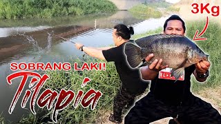 EP29 - sobrang laki ng nahuli kong Tilapia!! higit 3kilos