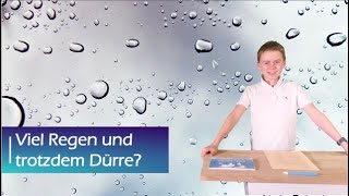 Warum regenreiche Winter nicht viel gegen Dürre im Sommer helfen können I Kids-News Kindernachrichte