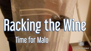 Racking your Wine - Winemaking 28