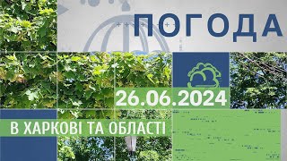 Прогноз погоди в Харкові та Харківській області на 26 червня