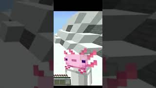 Minecraft axalotal meme 🔥😲 (wait for it )#minecraft #shorts