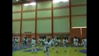 jska karate iraq ali suri 2012