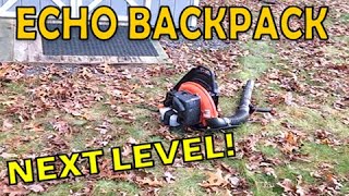 Echo Backpack Leaf Blower PB-755ST - 2 Year Update