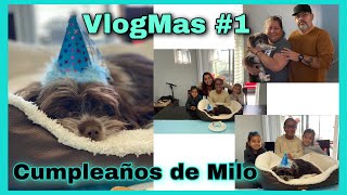 Cumpleaños de Milo ,Haul de cosas de Navidad ,VLOGMAS #1