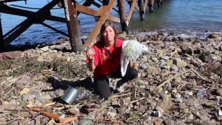 Trash: The Ocean’s Dirty Little Secret