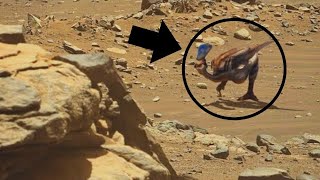 BREAKING NEWS: Has life been found on Mars?