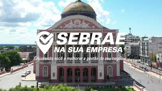 Sebrae na sua empresa