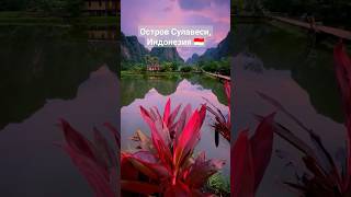 Остров Сулавеси, Индонезия | #Индонезия #релакс #Indonesia #полуостров #орхидеи #beautiful #travel