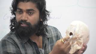 Skeletal System | Skeleton System | Full Lecture | #youtube #youtubevideo #skeleton #viral #biology