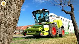 Claas Jaguar 940: The Art of Harvesting Rye