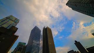 FREE Stock Footage - New York, Skyscrapers, City Life