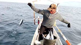 Mancing ikan cakalang menggunakan teknik Tonda. Paneng strike