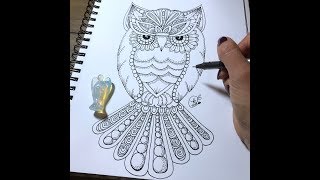 owl | kcdoodleart