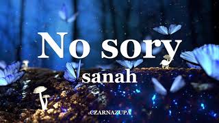 sanah - No sory Tekst