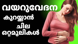 വയറുവേദന മാറാൻ ottamooli | vayaruvedhana maaran ottamooli | #malayalamhealthtips #ottamooli