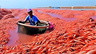 Inside Shrimp 🦐 Farm: How are millions of shrimp  produced in an industry worth 80 billion dollars?