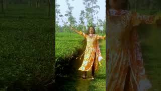 Ek Nojor na Dakla Bondu #dancecover #dance