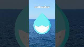 Why cant we drink salt water???