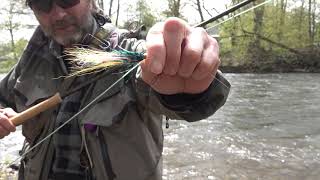 spring steelhead swing