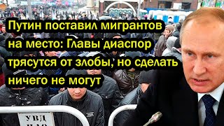 Путин поставил мигрантов на место: Главы диаспор трясутся от злобы, но сделать ничего не могут