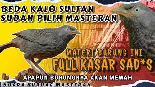 BEDA KALO SULTAN SUDAH PILIH MASTERAN! MATERI SAD*S || MASTERAN MEWAH Full Tembakan Kasar