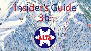 An Insider's Guide to Alta (Part b-Wildcat