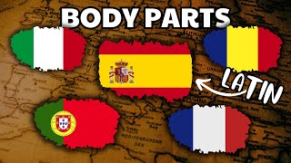 Body Parts | ROMANCE Languages COMPARISON