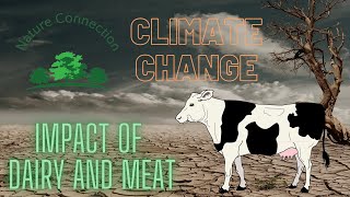 Meat and Dairy: The Surprising Impact on Climate Change | Nature Connection