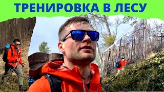 Тренировка в лесу/треккинг/хайкинг