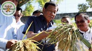 Amend Rice Tariffication Law | One year after rice tariffication: Farmers hurting, angry at new law