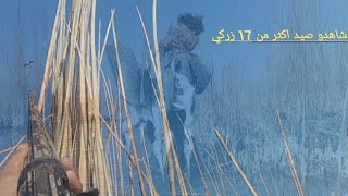 شاهدو رحله صيد الزركي والمحوحي صيد اكثر من 15طيره#جاسم