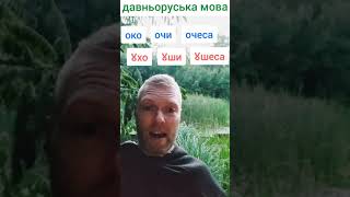 #давньоруська двоїна – око/ухо #shorts