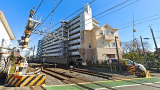 Residential Japan - Exploring Kashiwa, Chiba! | JAPAN LIVE STREAMS 2023