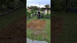 GRASS TO GROCERIES 🍓🥭🥑🌳  new garden from scratch #gardeningvideos #growfoodnotlawns