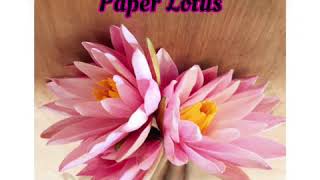 How To Make A Paper Lotus step by step