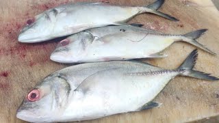 பாறை மீன் சுத்தம் செய்வது எப்படி/ bluefin travelly fish cutting and cleaning