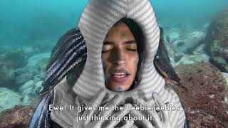 REEF FISH VIDEO Marine Pollution Awareness Campaign