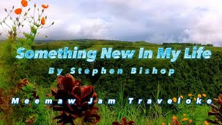 Something New In My Life Karaoke - Stepehen Bishop | Meemaw Jam Traveloke