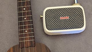 Positive Grid Spark Go - Short test with my Ukulele - awesome little amplifier