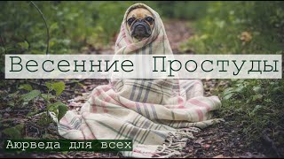 Весенние простуды. Аюрведа для всех.