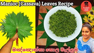 මඤ්ඤොක්කා කොළ මැල්ලුම| Manioc Leaves Recipe | Cassava Leaves Recipe