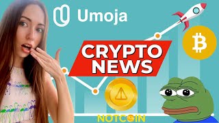 Is Bull market back? New Bitcoin ETF inflows. Notcoin on Binance. Airdrop Umoja Protocol.