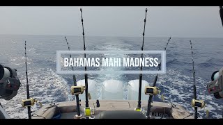 Bahamas Mahi Madness